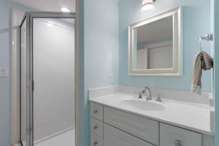 Guest Bath, Walk-in shower